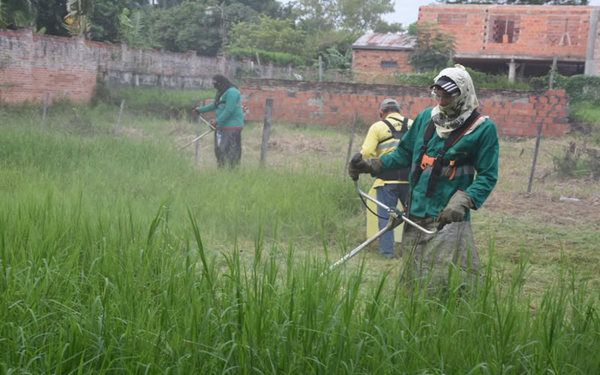 El 94% de los casos de dengue se registran en Asunción y Central