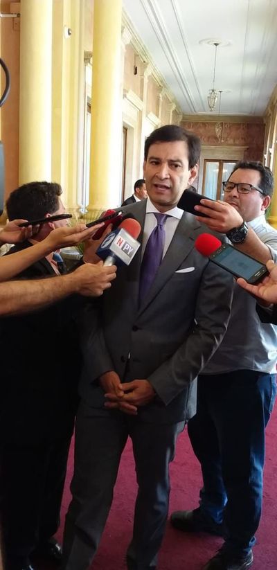Colorados no están en contra de ley de financiamiento, pero se deben analizar elementos, dice Ovelar - Nacionales - ABC Color