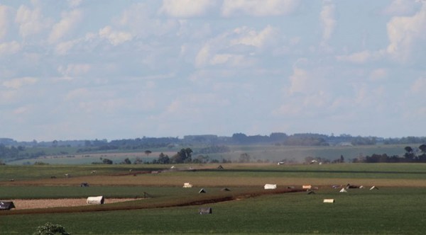 Productores de Campo 9 denuncian invasión de tierras e inacción de las autoridades