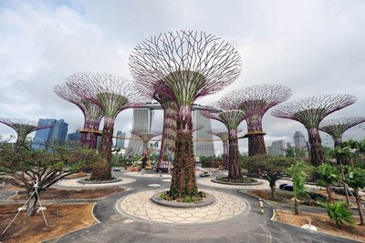 Singapur: Estos son sus “Súper árboles” artificiales que generan energía solar