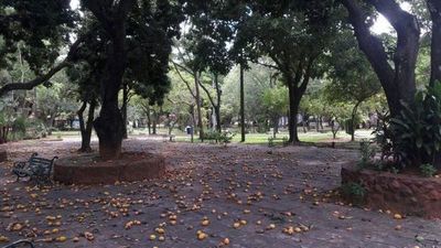 Piden donación de mangos para regalar a niños indígenas del Chaco - Nacionales - ABC Color