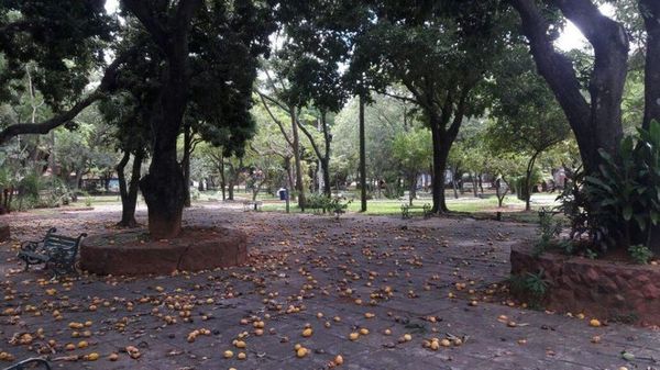 Piden donación de mangos para regalar a niños indígenas del Chaco - Nacionales - ABC Color