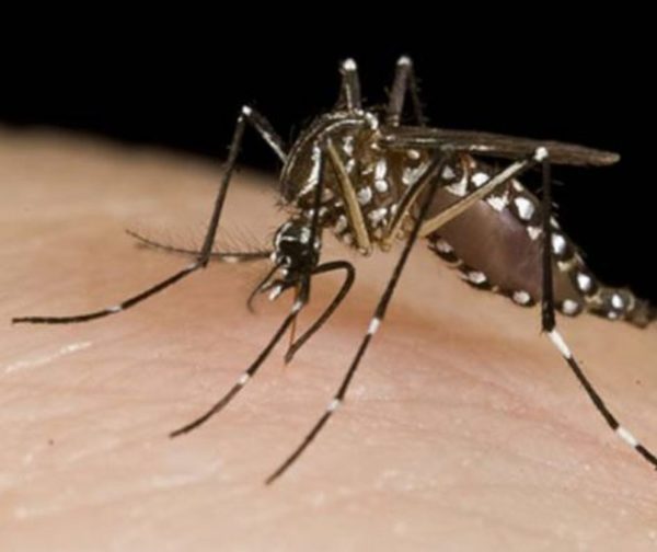 Otra muerte bajo sospecha de dengue