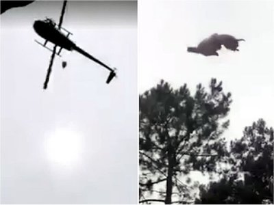 Uruguay: Lanzan animal desde un helicóptero a una piscina