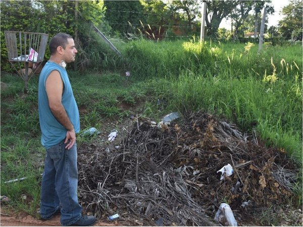 Dengue en casa: Dolor, tratamientos y pérdidas económicas por su causa