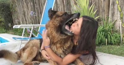 Producción con el jagua terminó demasiado mal