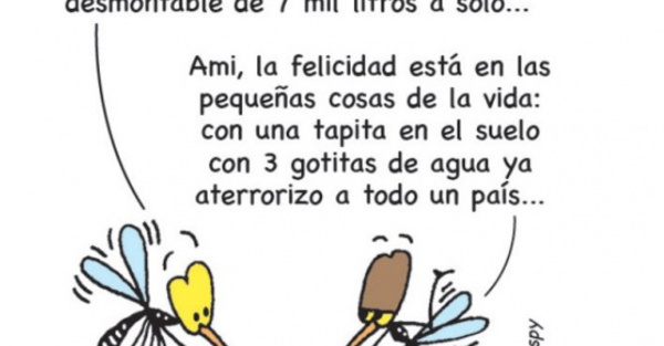 YOR – Pileta