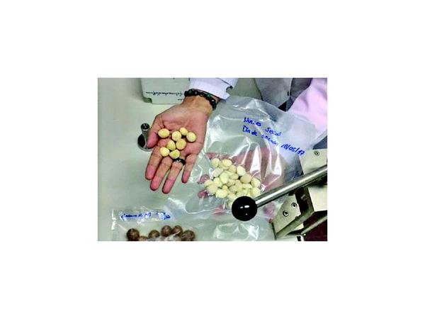 Exportarán nuez de macadamia gracias a una investigación