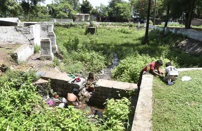 El dengue se pasea por los parques - Locales - ABC Color