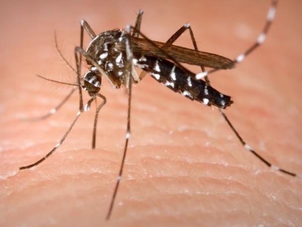 Dengue: investigan 10 muertes y casos sospechosos siguen aumentando