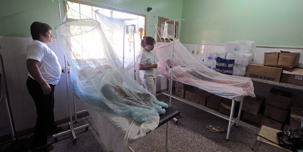 Salud Pública ya reporta 10 posibles muertes por dengue