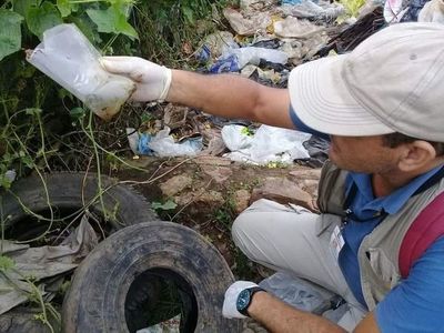 Dengue: SEN y Fiscalía buscan fijar protocolo para intervenir baldíos - Nacionales - ABC Color