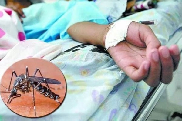 Hay sospechas de 10 muertes por dengue y unas 3 mil notificaciones semanales, según director de Salud - ADN Paraguayo