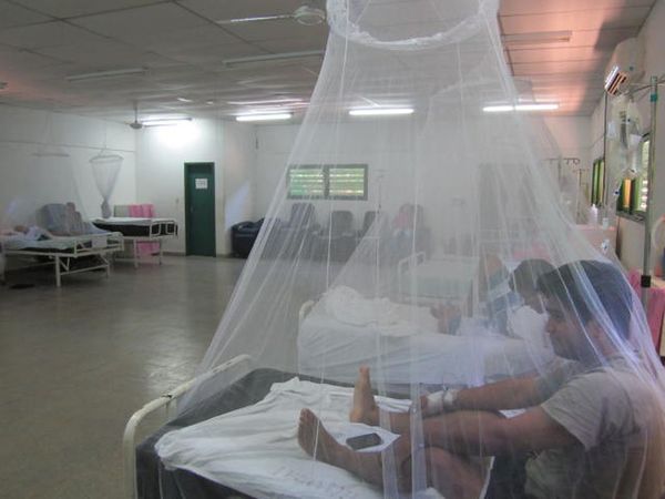Dengue: 10 muertes bajo sospecha