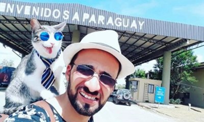 Bella, el gatito aventurero que recorre Paraguay en el hombro de su dueño | Noticias Paraguay