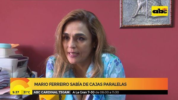 Mario Ferreiro sabía de cajas paralelas - ABC Noticias - ABC Color
