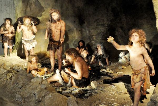 Los neandertales también bucearon para encontrar sus herramientas en el mar - Ciencia - ABC Color