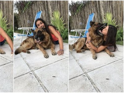 Se sacaba fotos con un perro y acabó con varios puntos el rostro