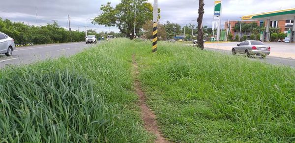 Zona del aeropuerto Silvio Pettirossi es un potencial criadero de mosquitos - Nacionales - ABC Color