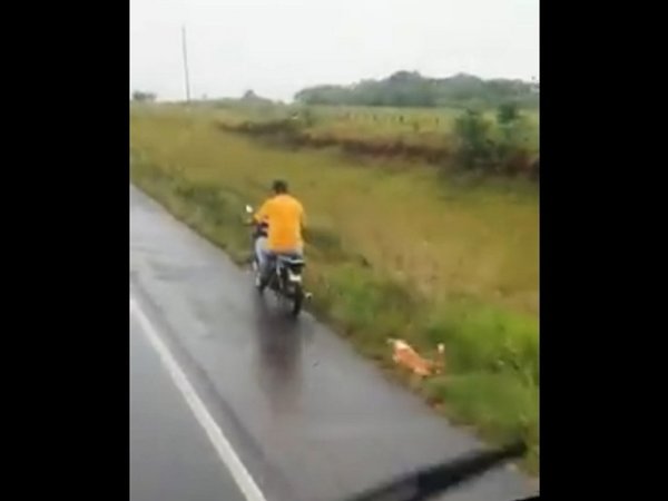 Motociclista arrastra a un perro en Misiones y causa indignación