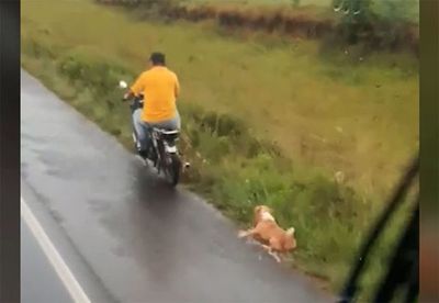 Motociclista arrastra a un perro en Misiones - Nacionales - ABC Color