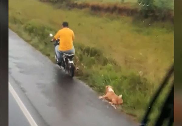 Motociclista arrastra a un perro en Misiones - Nacionales - ABC Color