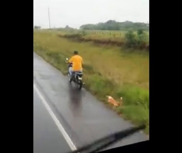 ¡Indignante! Arrastró a su perro por varios kilómetros