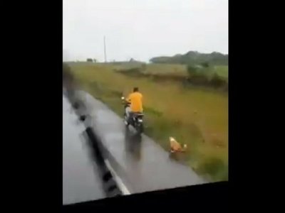 Arrastró a un perro con su moto y camionero le dio flor de jeja'o