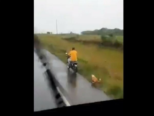 Arrastró a un perro con su moto y camionero le dio flor de jeja'o