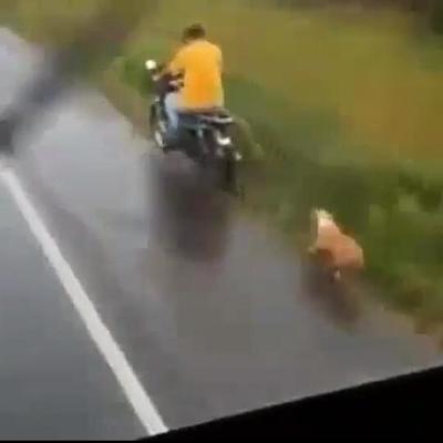 Denuncian a un hombre que arrastra a un perro desde su motocicleta » Ñanduti