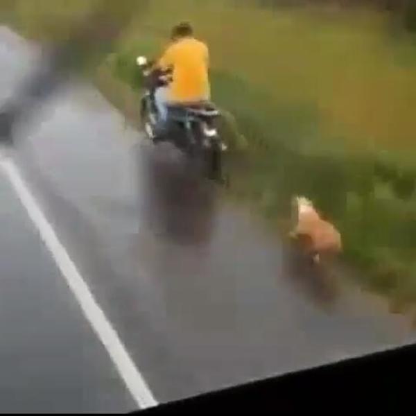 Denuncian a un hombre que arrastra a un perro desde su motocicleta » Ñanduti