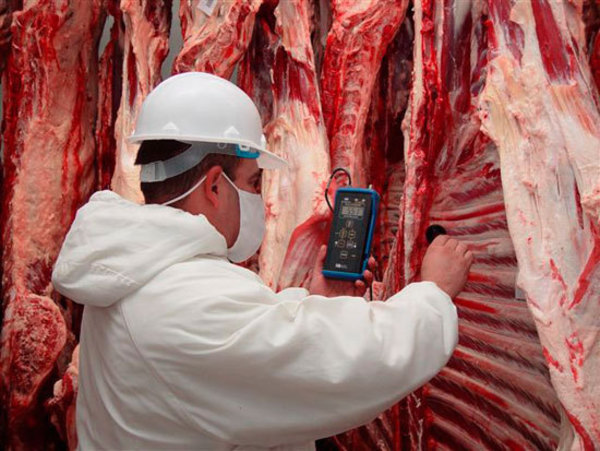 Carne del departamento de Concepción irá a Arabia Saudita