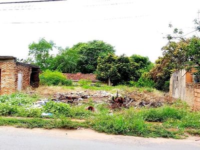 Lanzan protocolo de combate al dengue entre Fiscalía y municipios - Nacionales - ABC Color