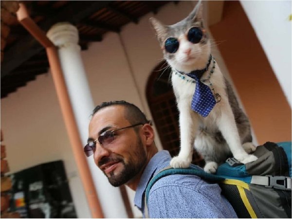 El gato mochilero y la gata Clarita se conocieron