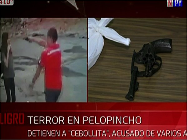 Detuvieron a supuesto ladrón que causaba terror en la Chacarita