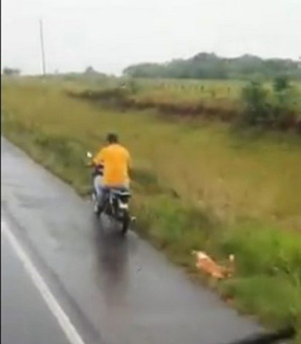 Fiscalía imputa a hombre por arrastrar a un perro en Misiones.