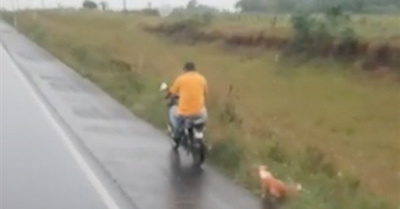 En moto le arrastró a su perro
