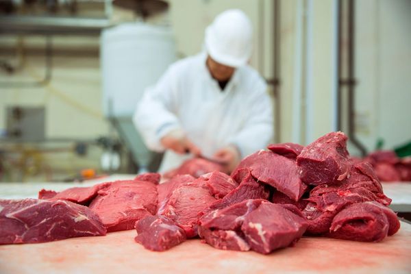 El mercado árabe abre sus puertas a Paraguay