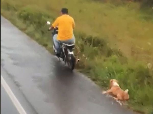 Imputan a motociclista tras arrastrar a su perro - Judiciales y Policiales - ABC Color
