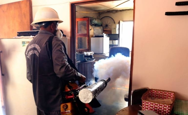 HOY / Mosquitos son resistentes a mayoría de insecticidas, advierte Senepa