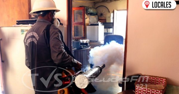 Mosquitos son resistentes a mayoría de insecticidas, advierte Senepa
