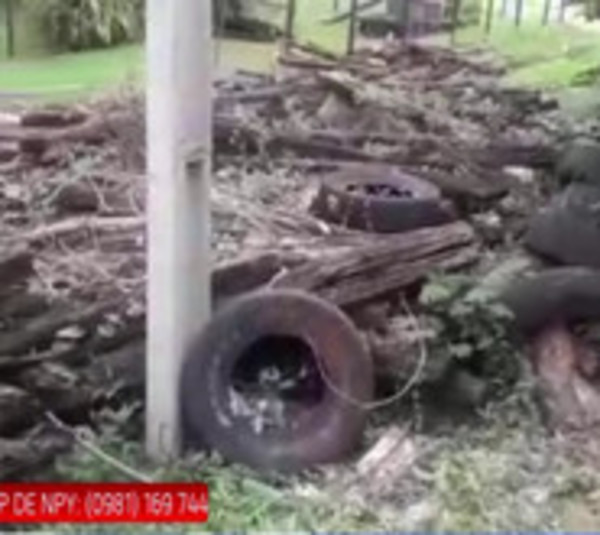 Criaderos de mosquitos en pleno centro de Luque - Paraguay.com