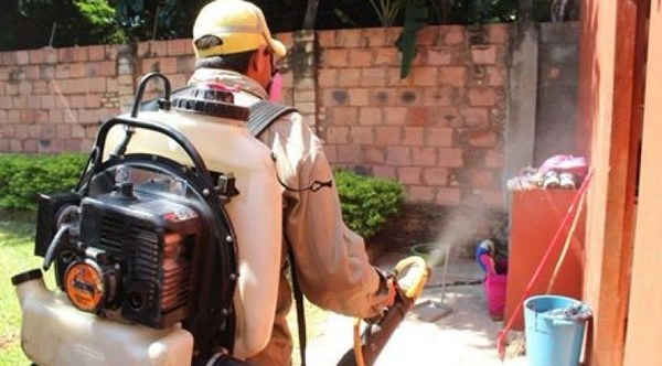 Senepa: Advierten que no son los insecticidas sino la limpieza lo que mejor combate al dengue - ADN Paraguayo