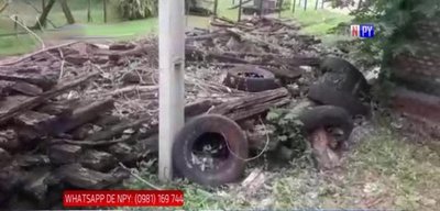 Criaderos de dengue en pleno centro de Luque | Noticias Paraguay