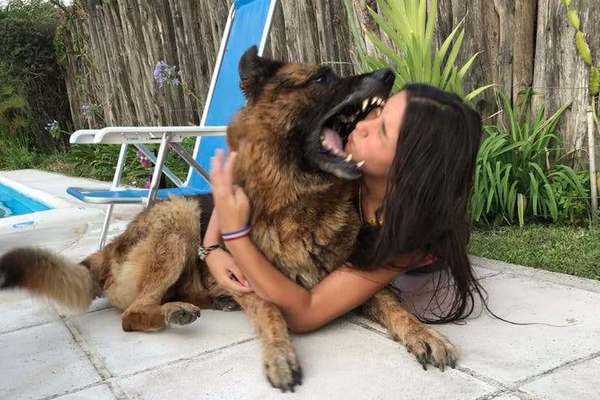 Argentina: Se sacaba fotos con un perro y terminó con 40 puntos en el rostro