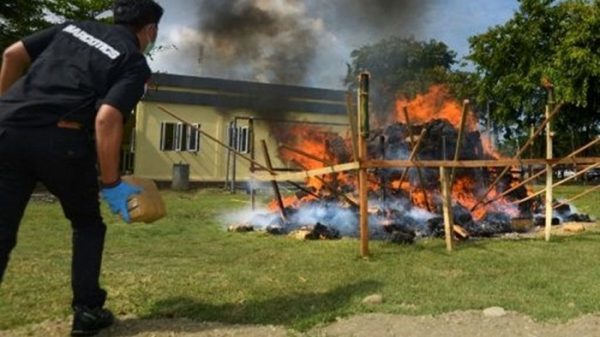 Policía incinera toneladas de marihuana y droga a todo un pueblo