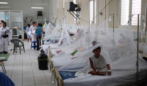 Refuerzan personal médico ante aumento de casos de dengue