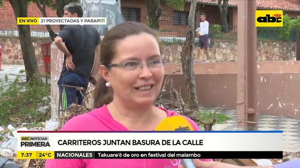 Carriteros juntan basura de la calle - ABC Noticias - ABC Color