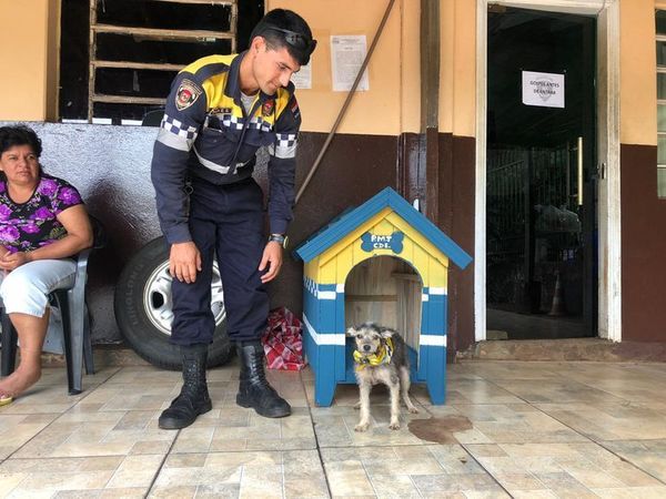 Tras morder a “Kelembu”, perrita recibió asistencia, comida y hasta una casita