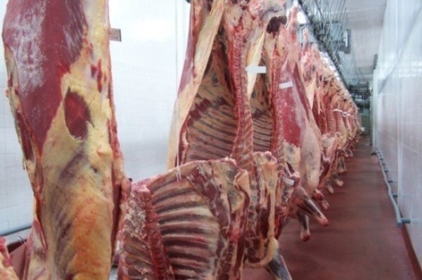 Carne paraguaya a Arabia constituye una 'carta de presentación' para apuntar a otros mercados de alta exigencia